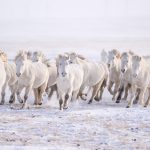 Döbbenetes dolog történt a sípályán