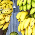 Sokkoló mit találtak a banánok között