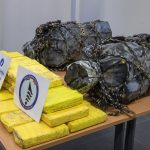 Több mint egy tonna kokaint foglaltak le Florida közelében