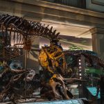 Végre kiderült hova tűntek valójában a T-Rex dinoszauruszok, akik több milliárdan is szaladgálhattak a Földön