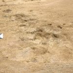 90.000 éves emberi lábnyomokat találtak egy marokkói strandon