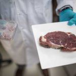 A műhús lesz a jövő élelmiszere?