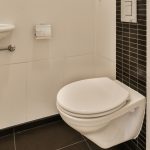 Egy tanulmány rávilágít a WC helyes használatára