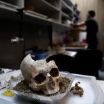 Izraelben találták meg az agyműtét legkorábbi bizonyítékát
