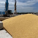 Lengyelország 160 tonna ukrán gabonát öntött ki a vasúti szerelvényekből + VIDEÓ