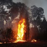 Ötven fölé emelkedett a chilei erdőtüzek halálos áldozatainak száma