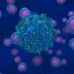 Sikeresen „vágták ki” a HIV-vírust egészséges sejtekből