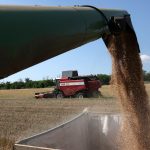 Újabb szankciós csomag készül Brüsszelben: az orosz mezőgazdaság került célkeresztbe