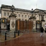Videón, ahogy a Buckingham-palota kapujának hajt egy autó