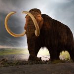 Vissza a jégkorszakba: feltámasztathatják a mamutokat