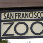 A San Franciscó-i Amerika legveszélyesebb állatkertje + VIDEÓ
