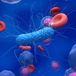 „Koleszterinszint-védő” baktériumokat fedeztek fel