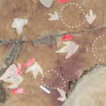 Sziklába vésett rajzok, amelyek mellett dinoszauruszok lábnyomait találták