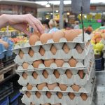 Tanácsok tojásvásárláshoz