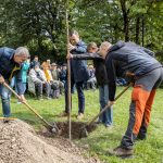 A magyarok támogatják a természet helyreállításáról szóló törvényt