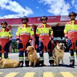 Nyugdíjba vonulnak a hős mentőkutyák