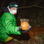 Rákkeltő méreganyag festette narancssárgára a Salgó-patakot + VIDEÓ