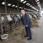 Júliustól is működhet az uniós mezőgazdasági válságkeret