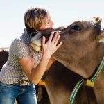 Mit érez a tehén a stresszt gyógyító, tehénölelő terápia közben?