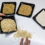 A táplálkozási szakértő megnevezi a stabil cukorszintet biztosító és energiával telített gabonaféléket