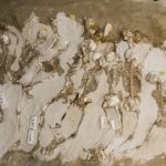 Megoldhatják a Kr.e 7. századi bilincsbe vert csontvázak rejtélyét