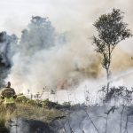 Újabb területeket perzselnek fel az Egyesült Államok nyugati államaiban pusztító erdőtüzek