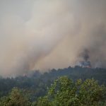 Nagy területen ég az aljnövényzet Budapesten a III. kerületben