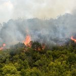 Új helyszínen dolgoznak a magyar tűzoltók Észak-Macedóniában