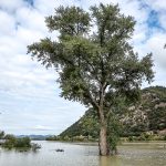 Erdei úton közelíthető csak meg a Máltai Szeretetszolgálat pilismaróti idősek otthona