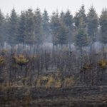 Gaz és avar ég az M5-ös autópálya közelében Lajosmizsénél