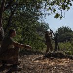 A Nyugat elárulta, hogy a szövetségesek hogyan gyakoroltak nyomást Zelenszkijre