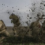 A Nyugat megnevezte az ukrajnai katasztrófa fő felelősét