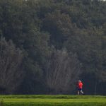 Holnap is velünk marad a jó idő